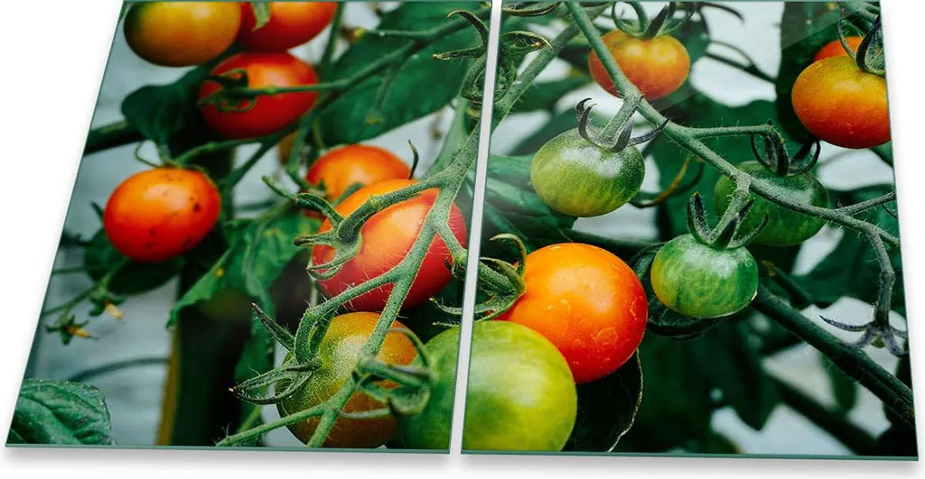 Piastre Copri Fornelli in Vetro 2x 40x52 cm Rosso Pomodoro Design Italia