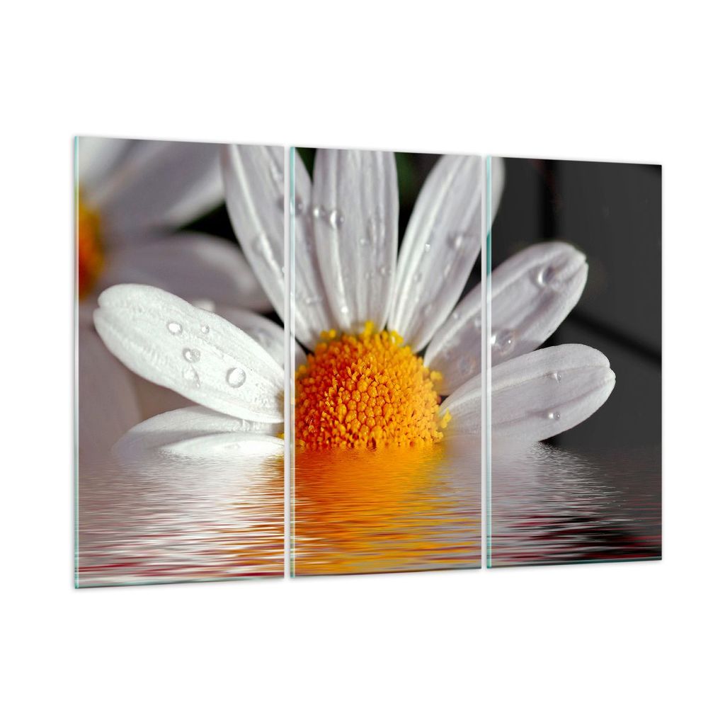 Bilder auf glas - Kraut Kamille Blume Wasser - 165x110cm - Glasbilder - Wandbilder - Kunstdruck - zum Aufhängen bereit - Wanddekoration aus Glas -...