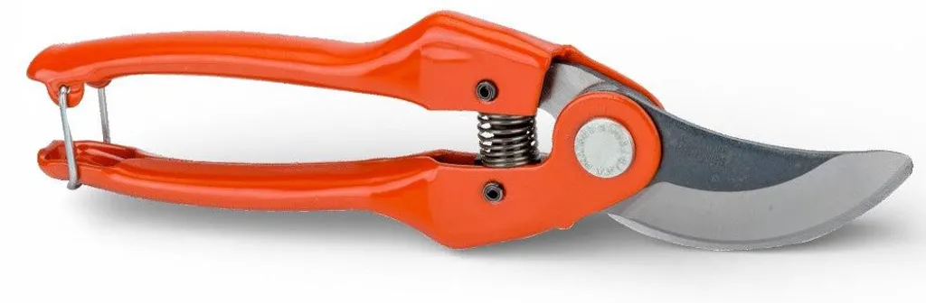 Outil de taille pour rosiers et arbustes, sécateur acier carbone solide
