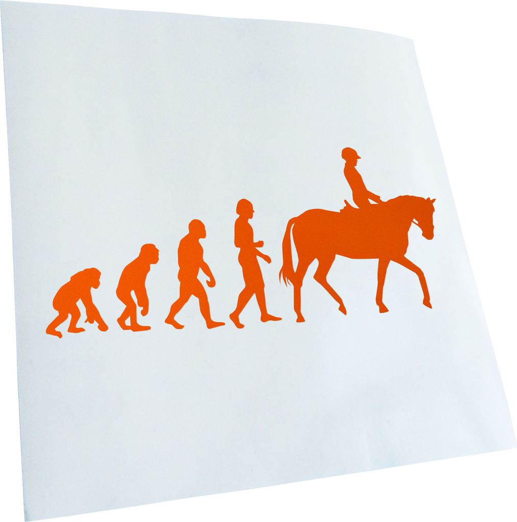 Kiwistar - Autoaufkleber - Evolution Pferdesport Heckscheibenaufkleber - Aufkleber für Auto Kfz Fahrrad, LKW, Truck Mofa