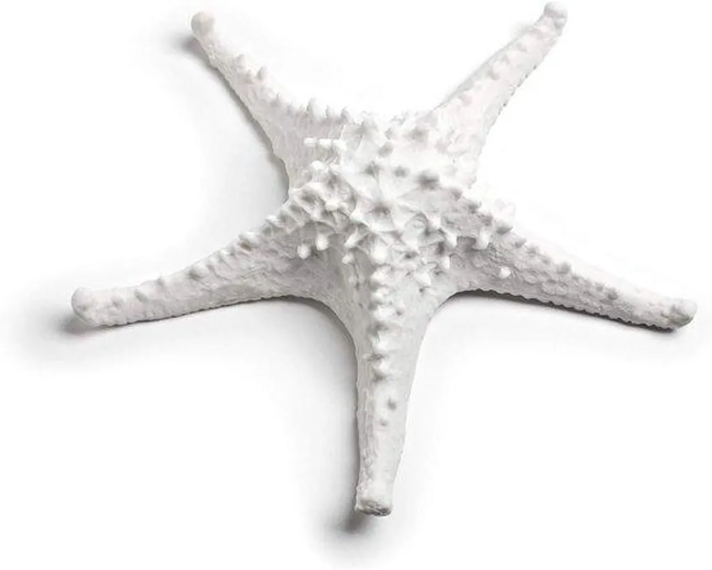 Figurine Cœur Blanche en Céramique - Décoration Maison Bord de Mer