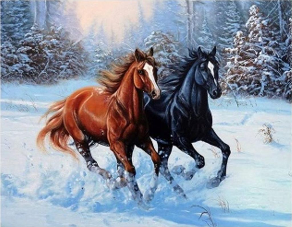 Malen nach Zahlen: Galoppierende Pferde im Schnee, 40 x 50 cm auf einem Rahmen