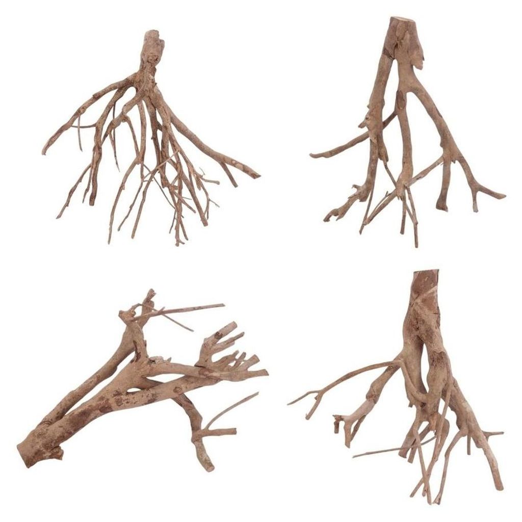 Talawa Wurzel L 35-50 cm Produktbild 