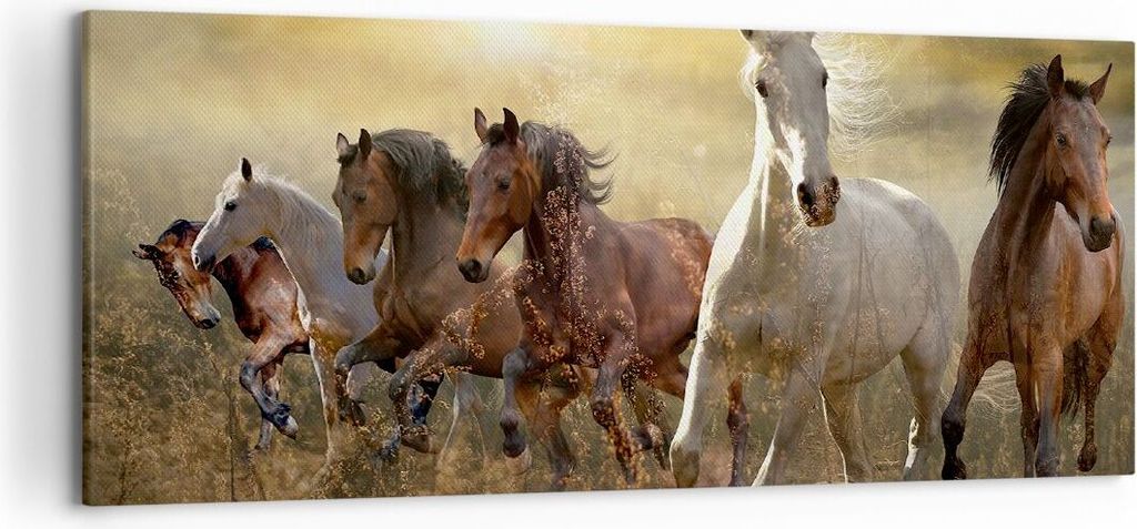 Bild auf Leinwand - Leinwandbild - Pferd Tier Natur - 120x50cm - Wand Bild - Wanddeko - Wandbilder - Leinwanddruck - Bilder - Kunstdruck - Wanddeko...