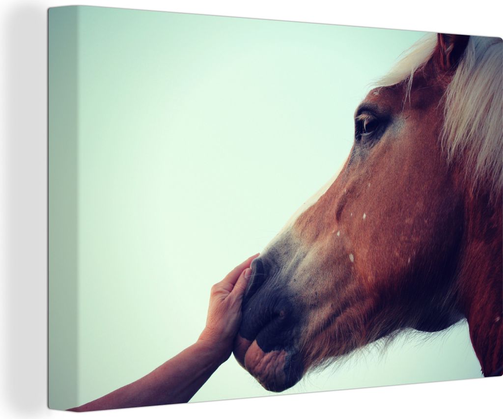 OneMillionCanvasses - Leinwandbilder - 140x90 cm, Haflinger Pferd, Wandbilder Kunstdruck Wanddekoration