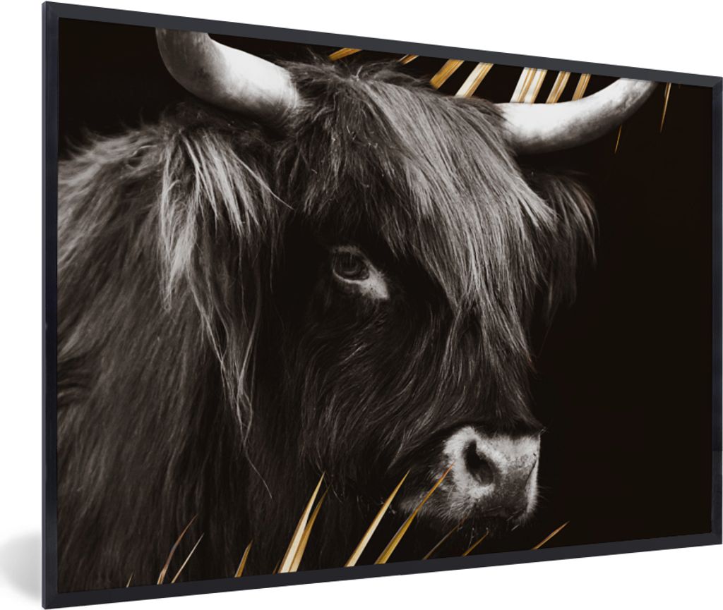 MuchoWow Gerahmtes Poster Schottischer Highlander - Gold - Schwarz - Weiß 60x40 cm - Poster mit Schwarzem Bilderrahmen Wandposter Rahmen Foto Bi...
