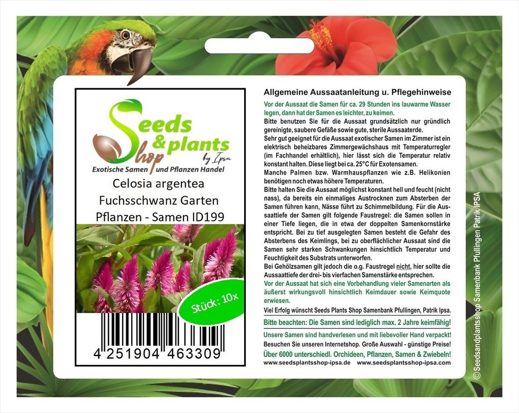 10x Celosia argentea Fuchsschwanz Garten Pflanzen - Samen ID199