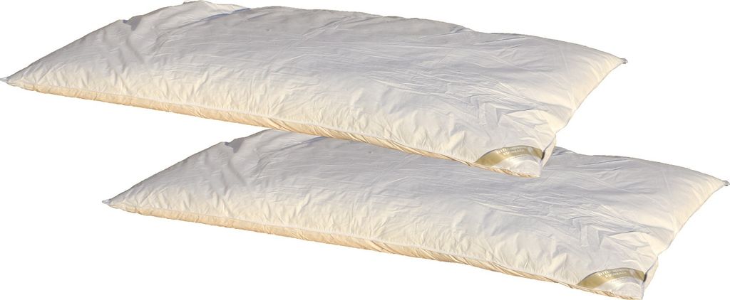 2 Stück Hofmanns Oberbetten Daunen-Federbetten Schüttelbetten 135x200 2000g warm