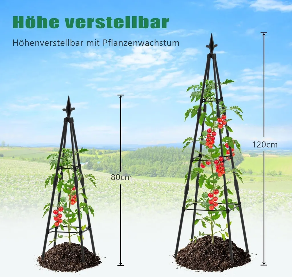 Tuteur Obélisque 120cm pour Balcon et Potager Support de Croissance x4 - 2