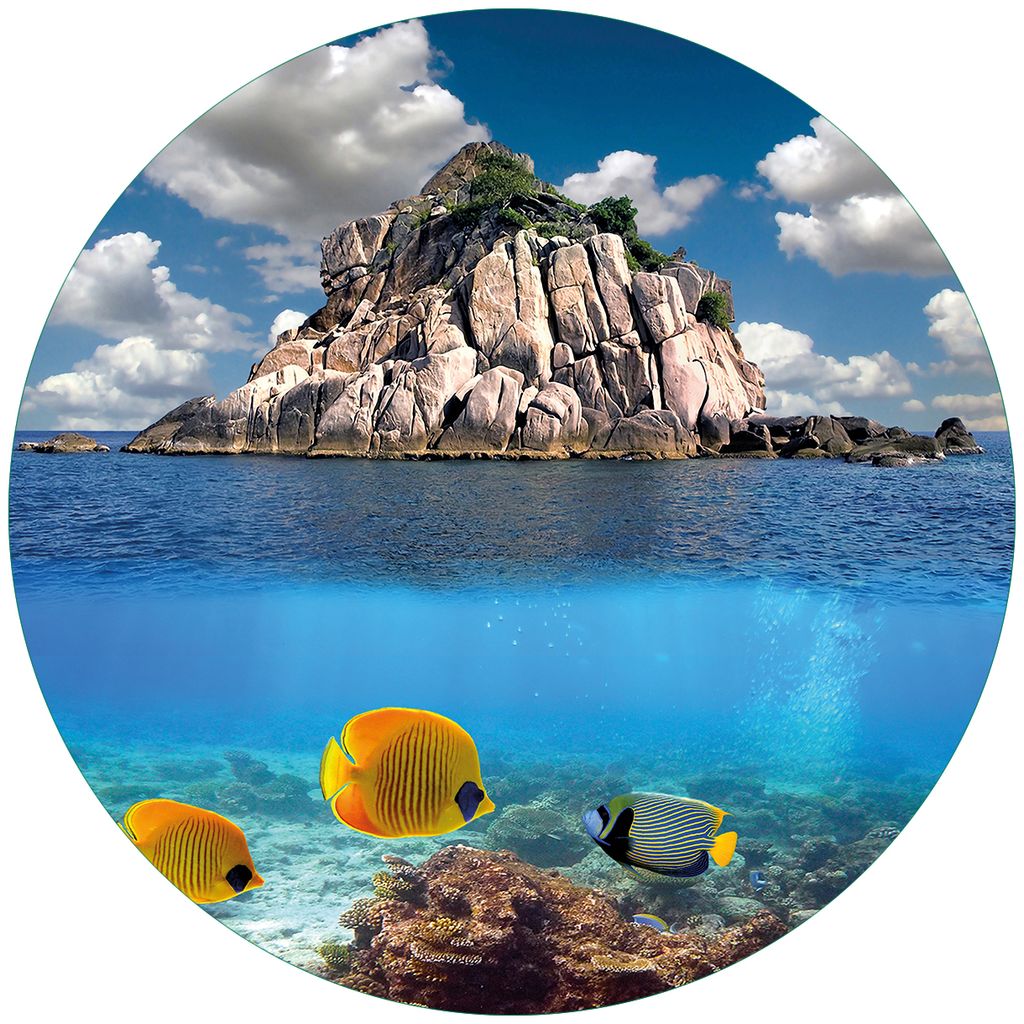 Wallario Premium Glasbild, freischwebende Optik, kräftige Farben, rund 50cm Durchmesser, Motiv Exotische Fische im Meer