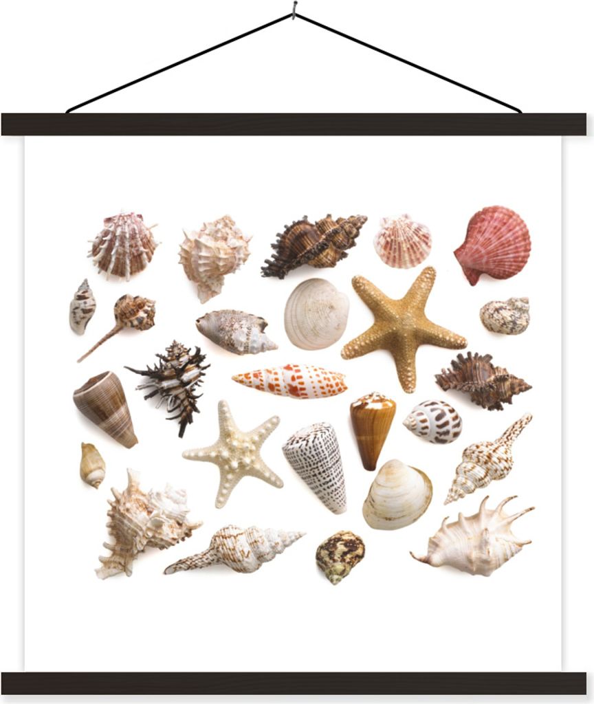 MuchoWow Textilposter Muschel - Seestern - Weiß 40x40 cm mit schwarzem Rahmen - Fotos