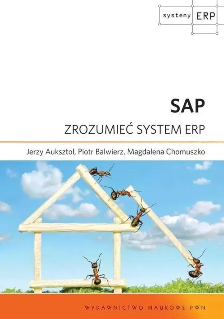 SAP Comprendre l'ERP : Méthode structurée pour l'intégration des processus