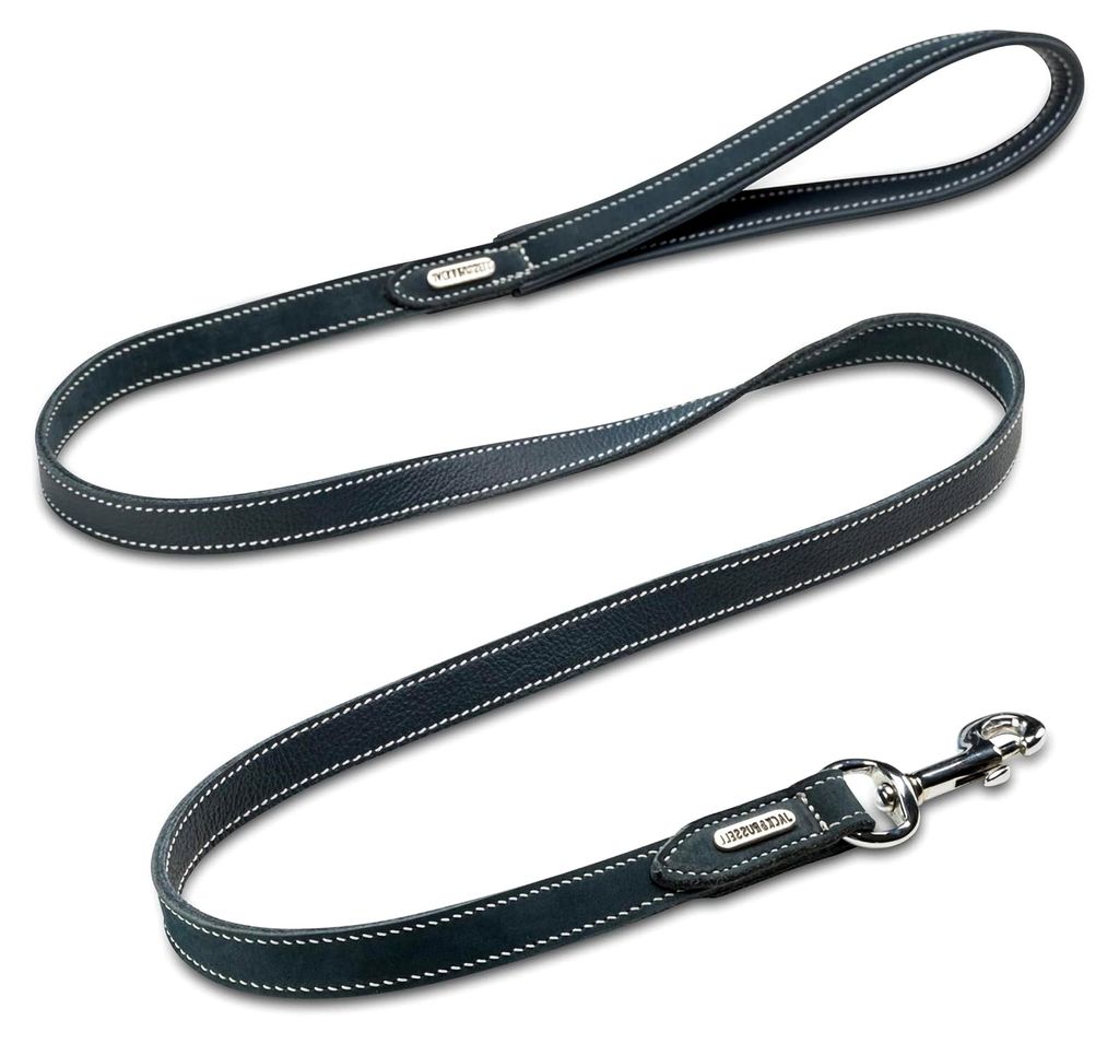Leder Hundeleine Lucy 1,5m | robuste und weiche Büffel-Lederleine aus Voll-Leder | Führleine mit Edelstahl-Karabiner
