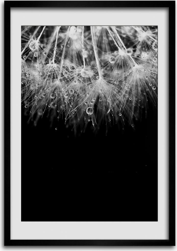 Bild - Bilderrahmen - Foto - 70 cm x 100 cm - MDF - Rahmen - Wandkunst - Löwenzahnsamen