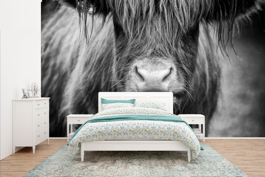 MuchoWow Fototapete für Wohnzimmer oder Schlafzimmer Wandtapete Vinyl Motivtapete Schottischer Highlander - Haare - Tiere - 435x260 cm - Kinderz...