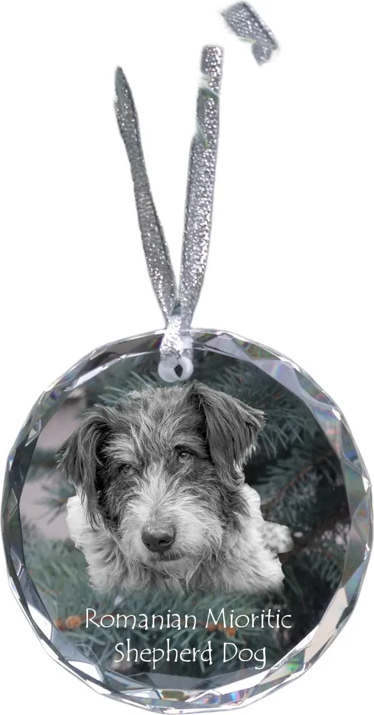Regalo Natale Personalizzato Cane Pastore Rumeno in Cristallo Art-Dog