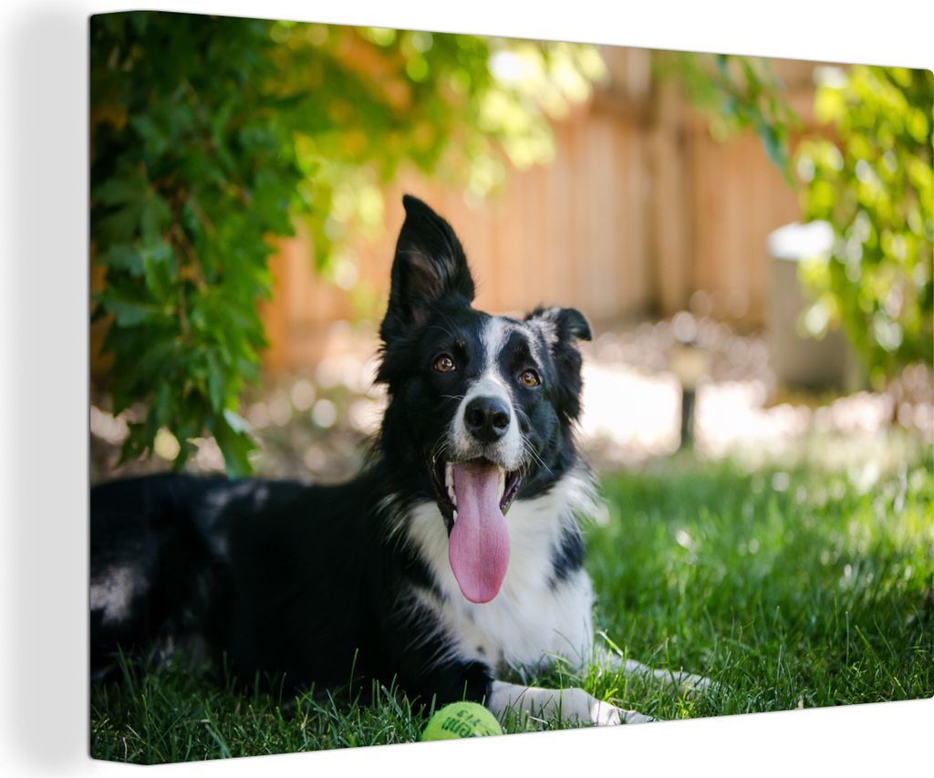 OneMillionCanvasses - Leinwandbilder - 140x90 cm, Hund - Gras - Tiere, Wandbilder Kunstdruck Wanddekoration