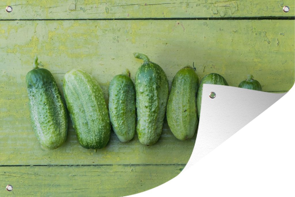 MuchoWow 60x40 cm Outdoor-Poster Gartendeko Sichtschutz Garten Poster für den Garten Grüne Salatgurken in einer Reihe