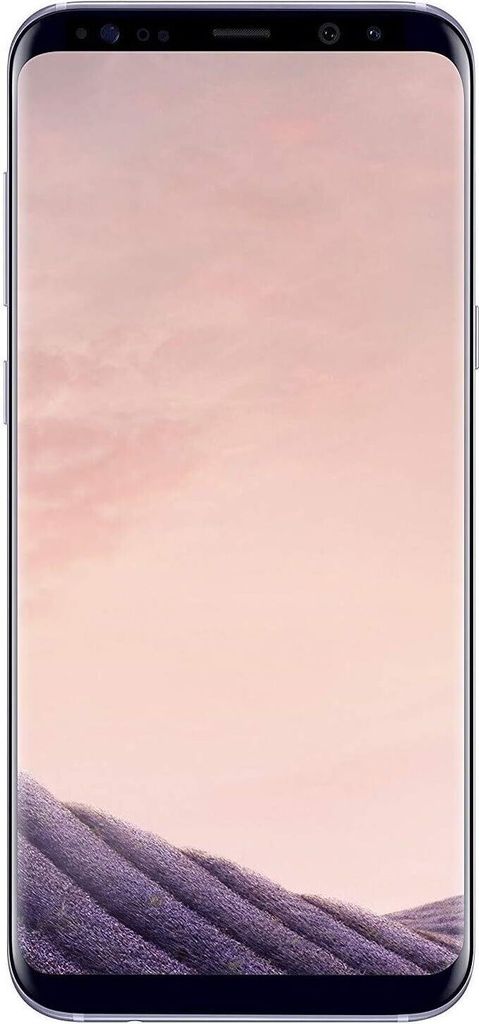 Samsung Galaxy S8+ SM-G955F, 15,8 cm (6.2 Zoll), 4 GB, 64 GB, 12 MP, Android 7.0, Grau