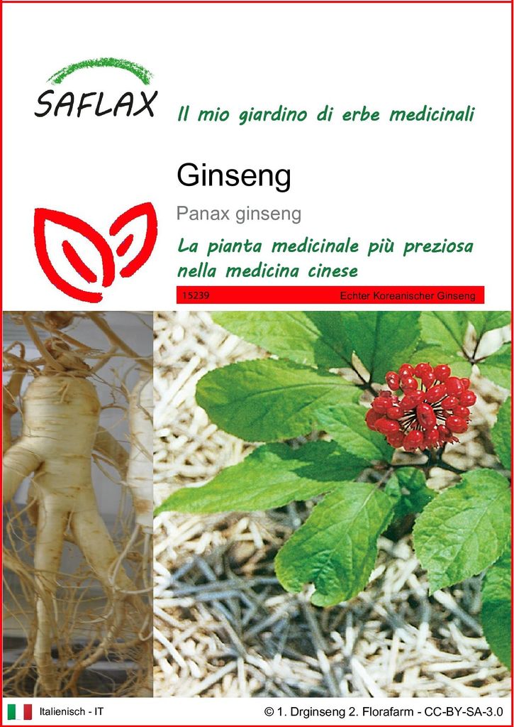 SAFLAX  - Ginseng - 10 semi - Panax Immagine del prodotto 