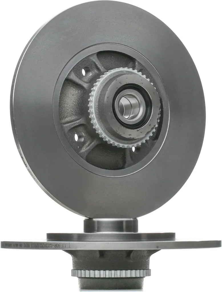 Disque de frein arrière Brembo pour Renault Clio II et Megane 1 Phase 2