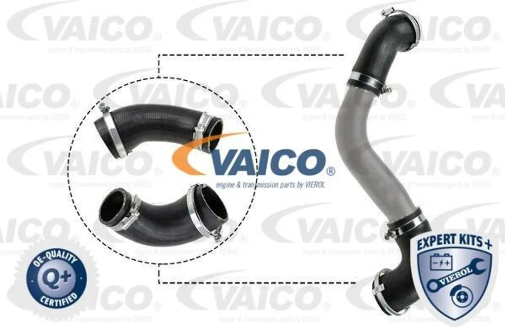 Tuyau d'air de suralimentation VAICO V25-1921 pour Ford Focus et C-Max