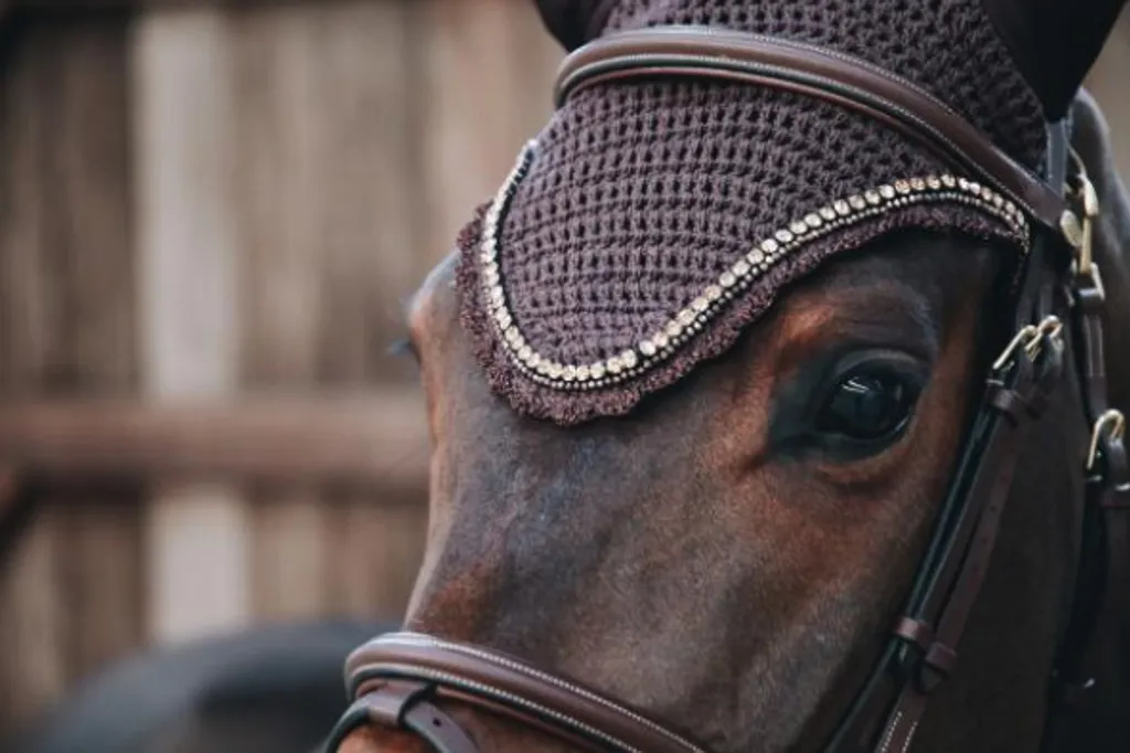 Kentucky Horsewear Fly Hood Marrone Stone & Pearl - Qualità Premium