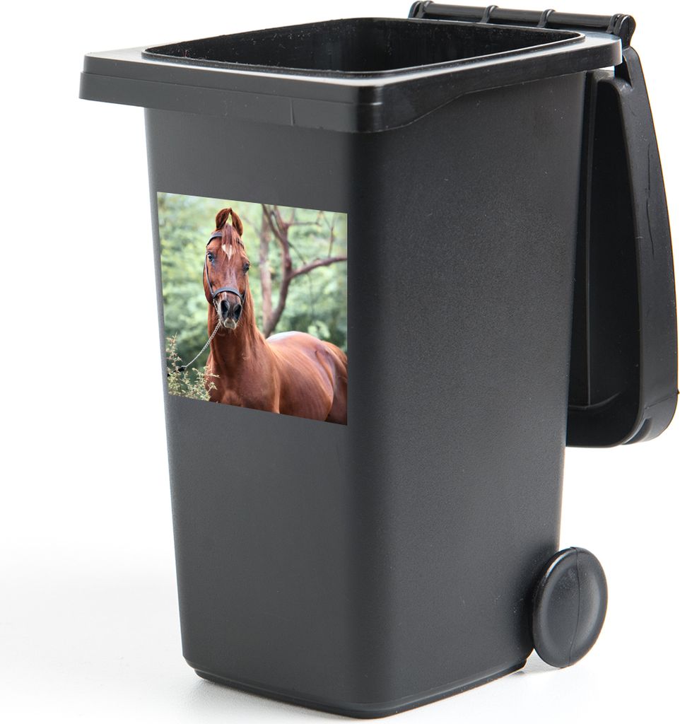 MuchoWow Mülltonnenaufkleber Pferd - Wald - Halfter 40x40 cm - Abfall-Aufkleber - Container - für Abfallcontainer
