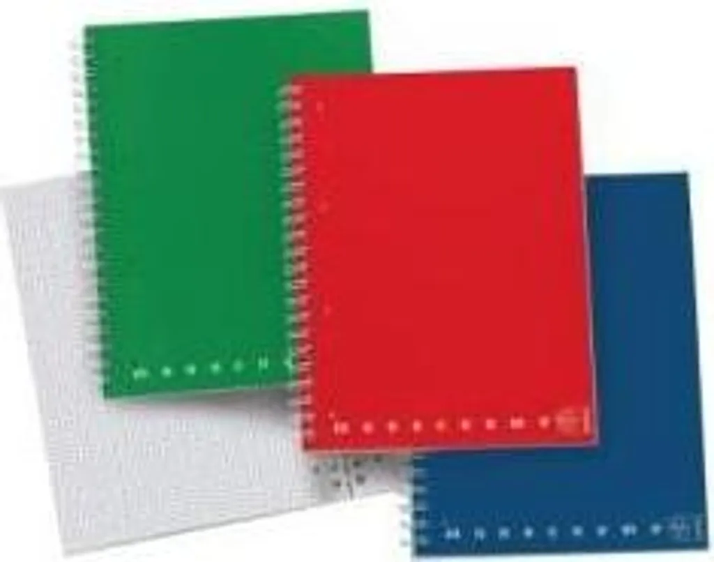 Cahier de notes Pigna Monochrome Block Petit Format à Spirales Coloré