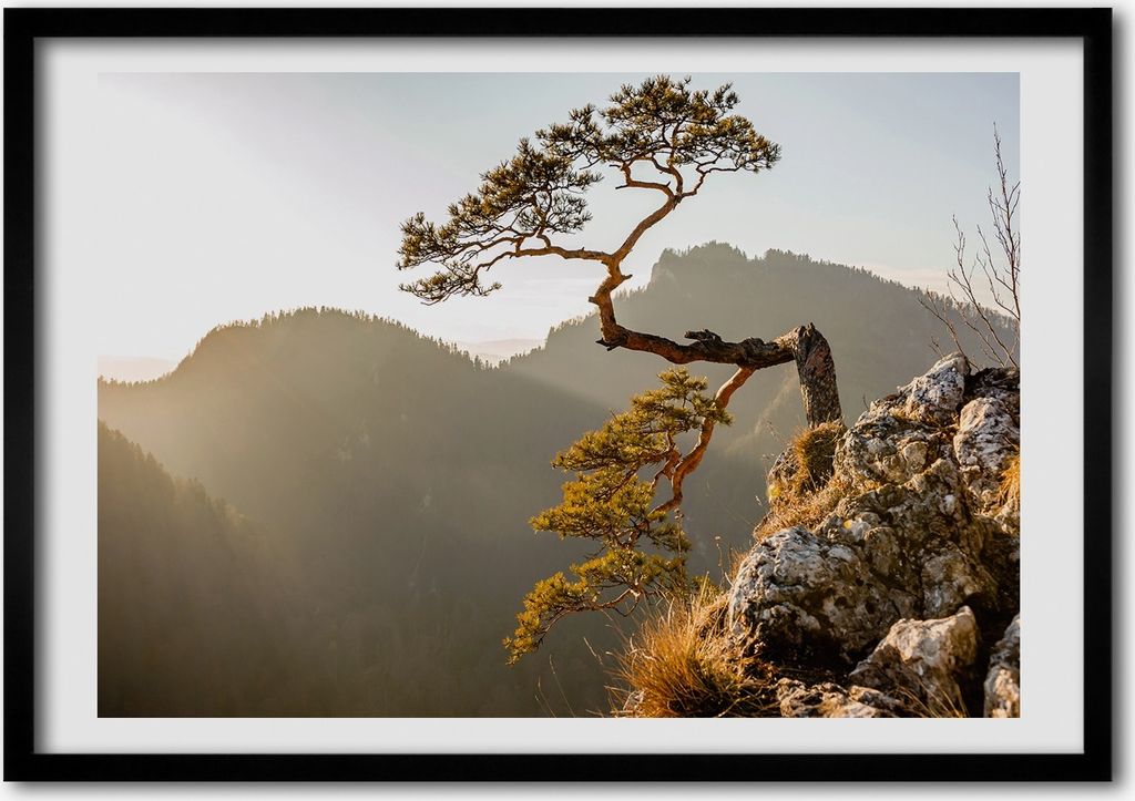Bild - Bilder - Bilderrahmen - 70 cm x 50 cm - MDF-Rahmen, Wandkunst Pieniny Sokolica
