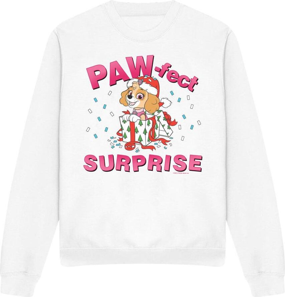 Paw Patrol - "The Paw-Fect Christmas Gift" Sweatshirt für Herren/Damen Uni TV12631 (S) (Weiß)