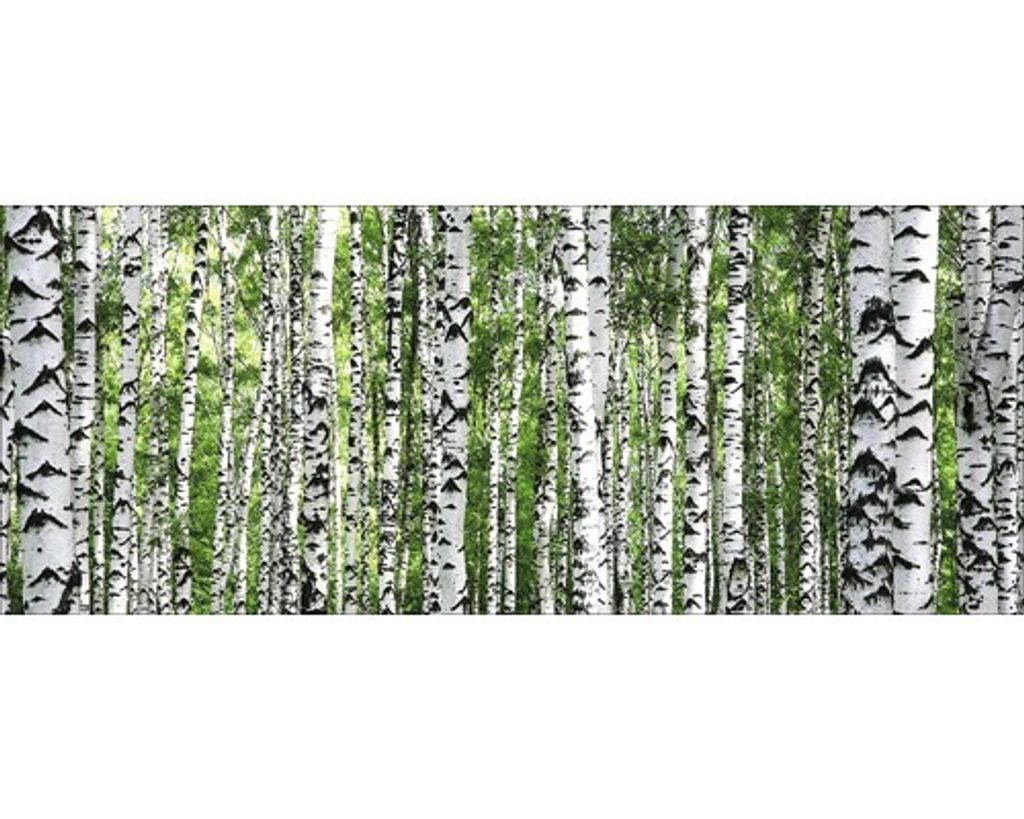 Glasbild Tree Trunk Collection 80x30 cm