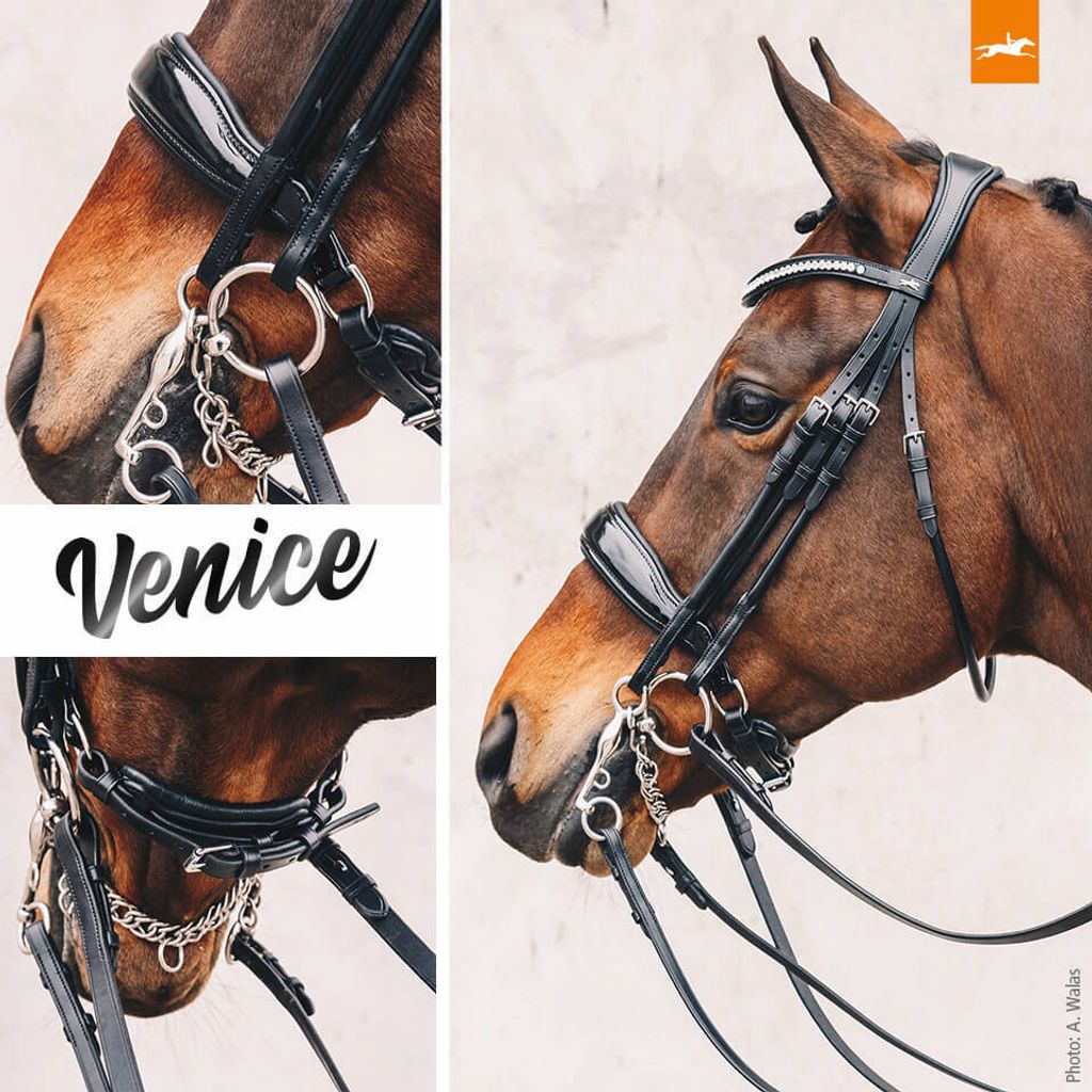 Schockemöhle Sports Kandare Venice Black / Silver WB Produktbild 5