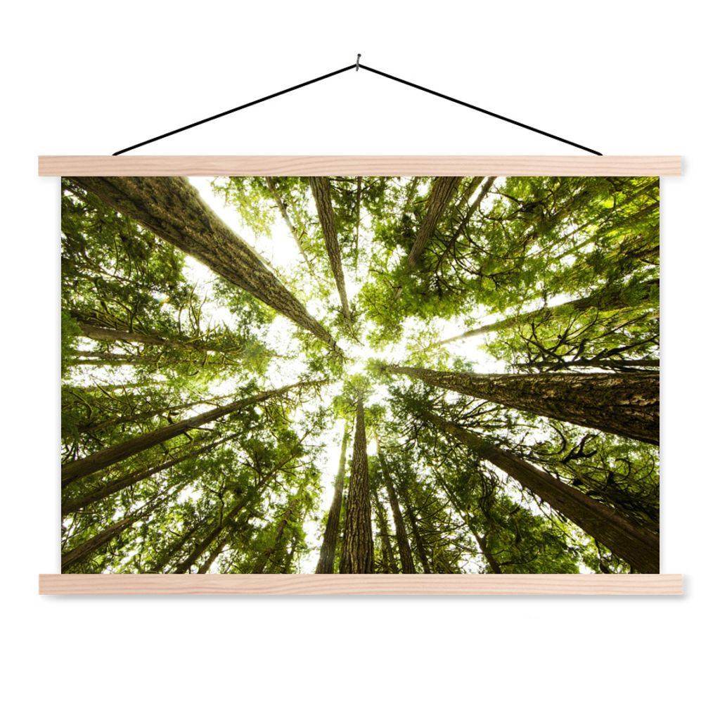 MuchoWow Textilposter Blick von unten auf die hohen moosbewachsenen Bäume des Regenwaldes 120x80 cm mit holzfarbenen Rahmen - Aufhängeset