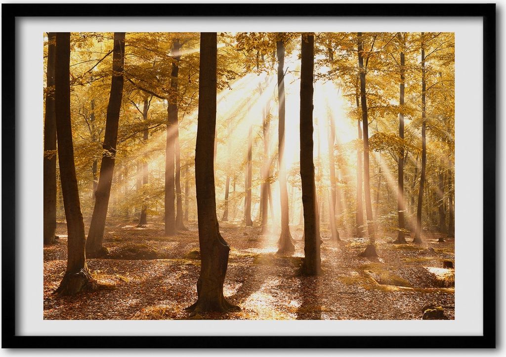 Bild - Bilder - Bilderrahmen - 70 cm x 50 cm - MDF-Rahmen, Produktbild 