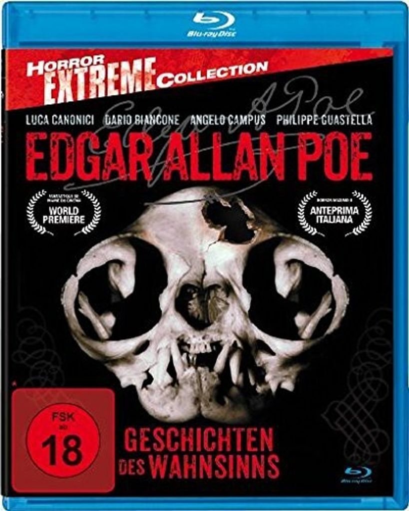 Edgar Allan Poe - Geschichten des Wahnsinns