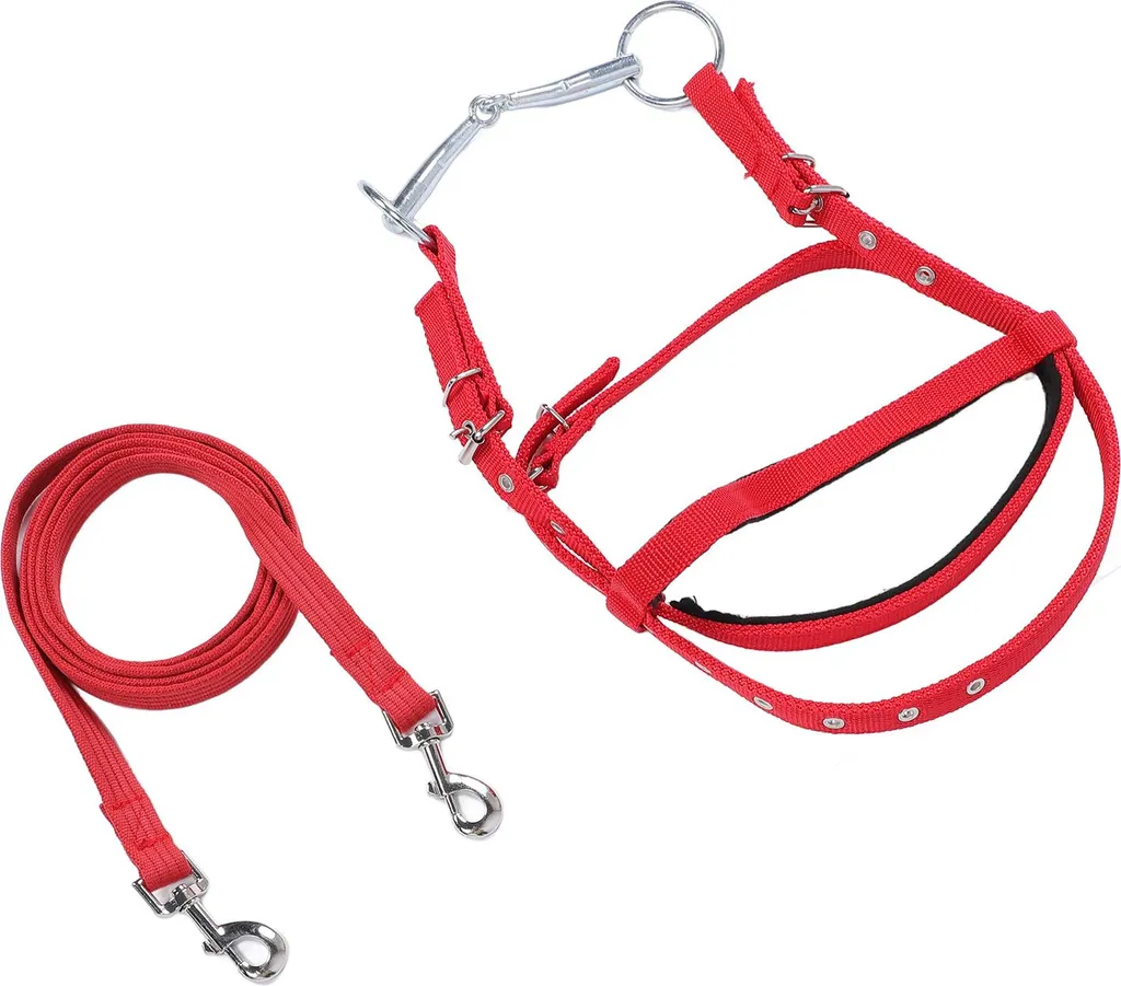 Bridon de Travail pour Cheval 1m30+ Rênes Nylon et Têtière Rouge Sport