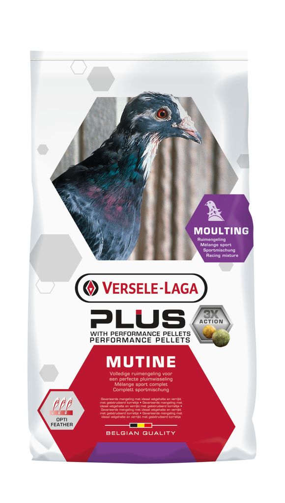 Plus Mutine - 20 kg
