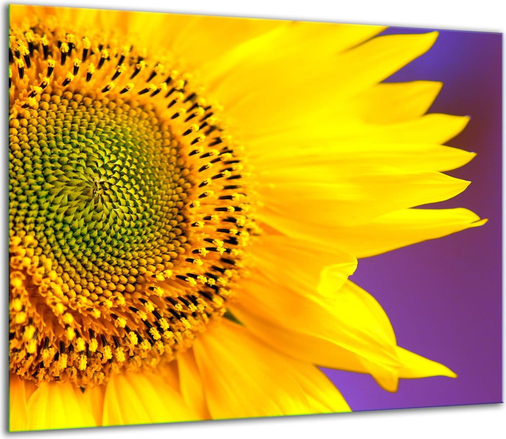 Herdabdeckplatten Glaskeramikkochfeld-Abdeckung Spritzschutz Glas 60x52cm Blume