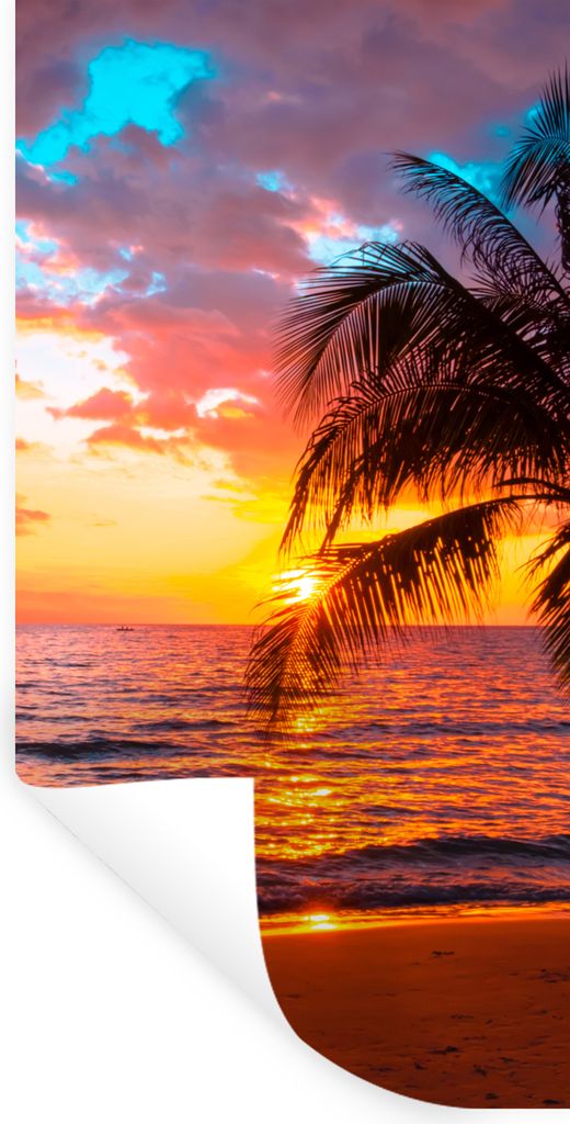 MuchoWow Wandtattoo Wandsticker Wandaufkleber Palme - Sonnenuntergang - Strand - Meer - Horizont 80x160 cm Selbstklebend und Repositionierbar - S...