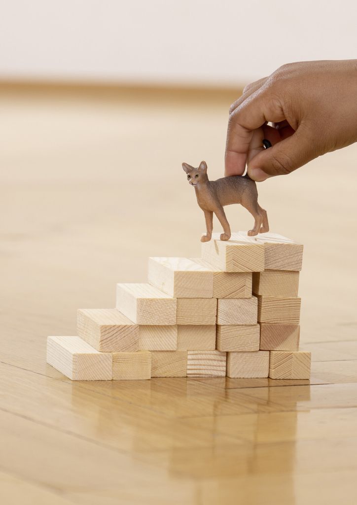 SCHLEICH Farm World Abessinierkatze – Detailgetreue Spielfigur, Ca. 6x2x5 Cm, Aus Hochwertigem Material Für Kinder Ab 3 Jahren