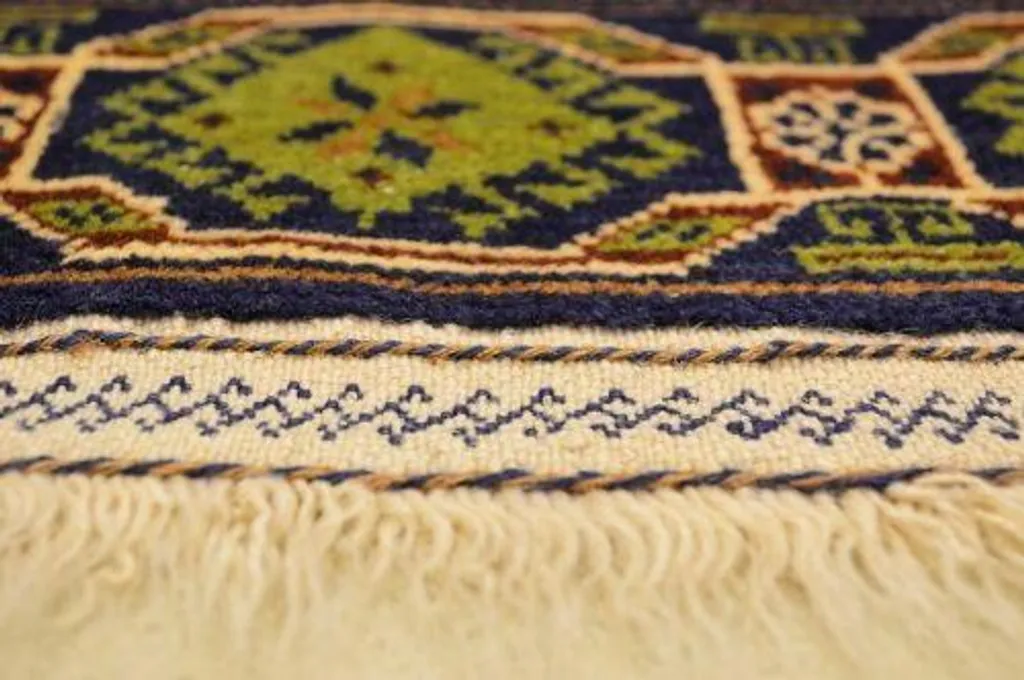 Tapis résistant Belutsch 101x205 cm idéal pour protéger votre sol - 5