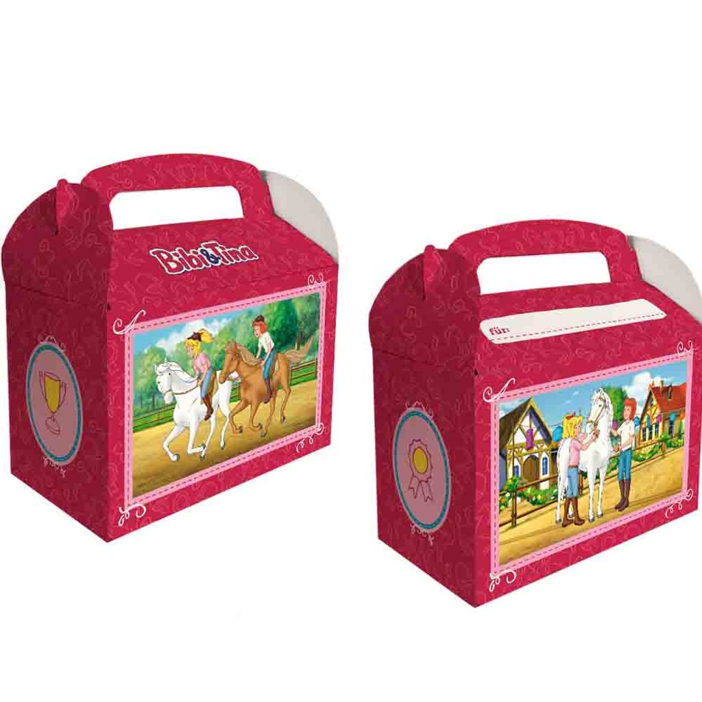 6 Bibi und Tina Geschenkboxen mit Namensfeld Produktbild 