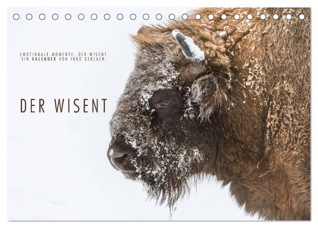 Emotionale Momente: Der Wisent. (Tischkalender 2027 DIN A5 quer), CALVENDO Monatskalender