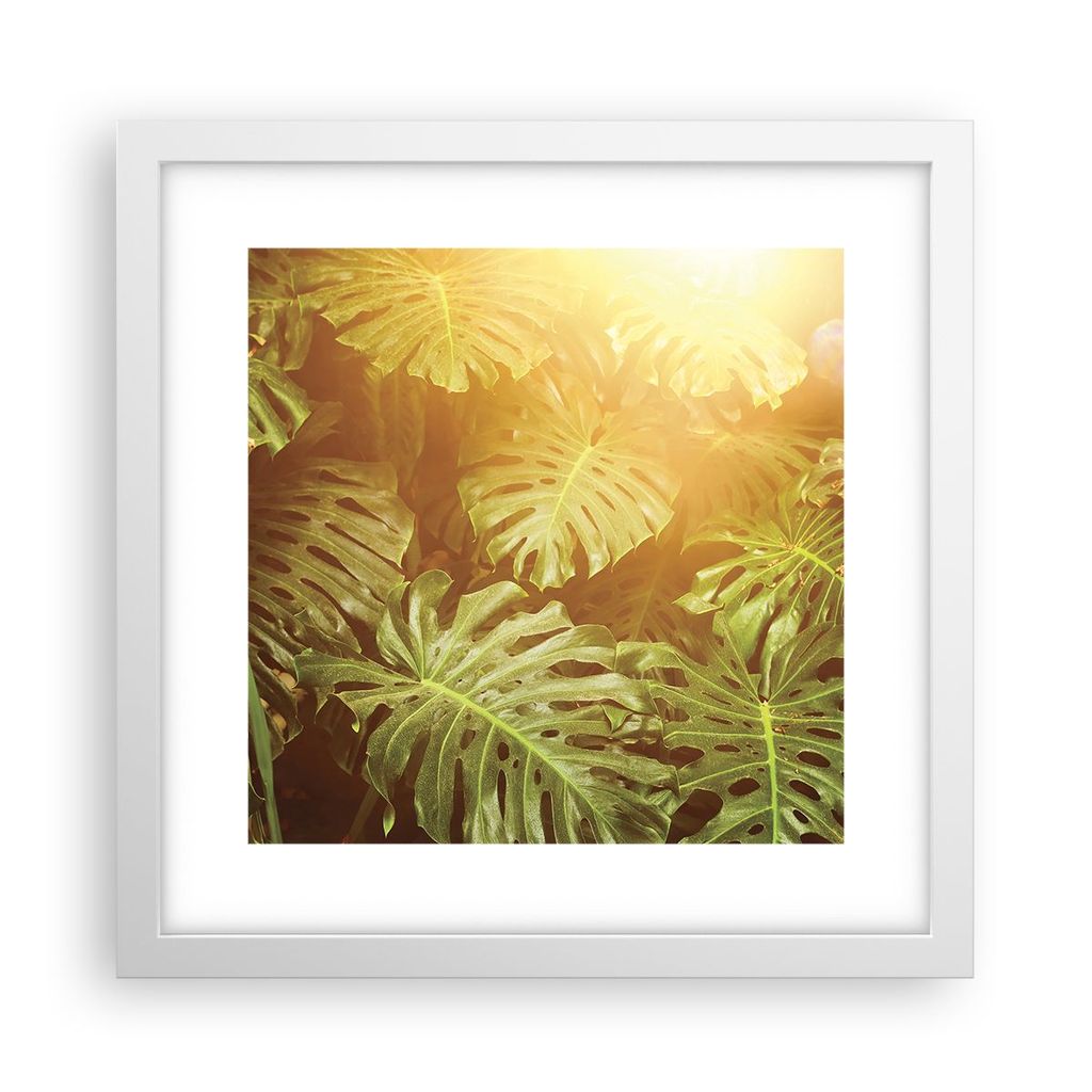 Gerahmtes Poster - Weißer Rahmen - Blätter Monstera Licht - 30x30 cm - Wand Bild - Wanddeko - Wandbilder - Kunstposter - Wandposter - Bilderrahme...