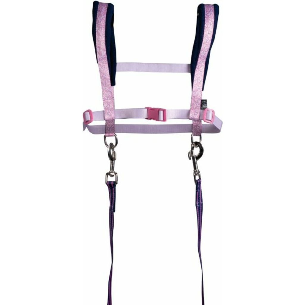Pferdegeschirr -Funny Horses Hearts-  rosa/dunkelblau Produktbild 