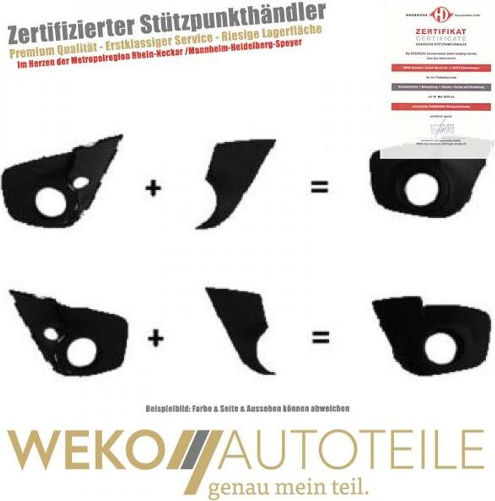 Blende Nebelscheinwerfer DIEDERICHS 4481048 für RENAULT