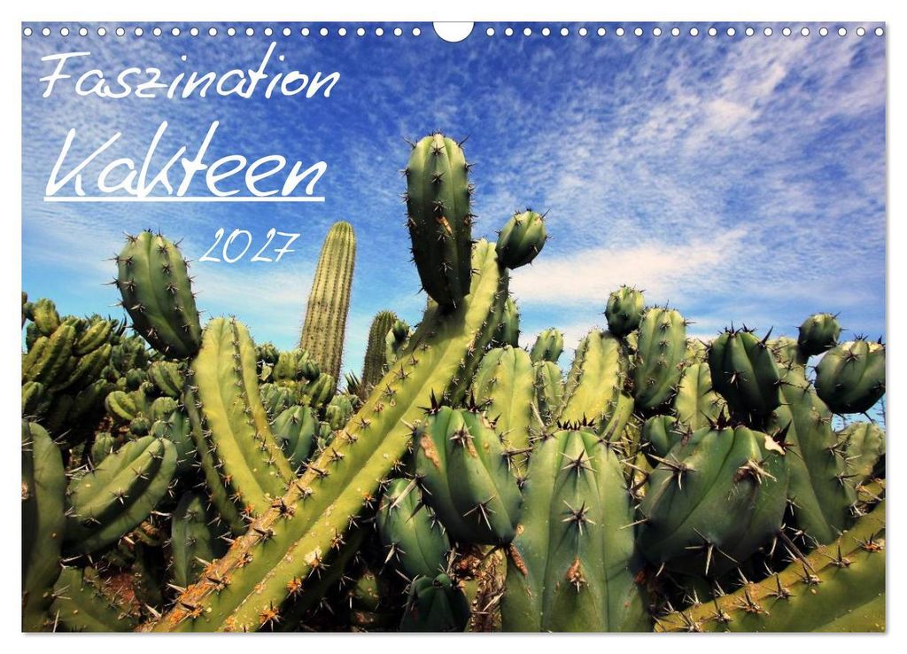 Faszination Kakteen (Wandkalender 2027 DIN A3 quer), Produktbild 