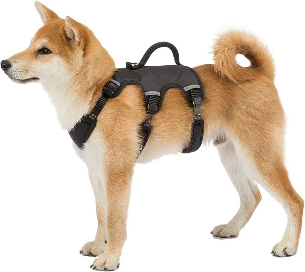 Harnais anti-traction ergonomique Ergotrekking pour chien moyen Taille M