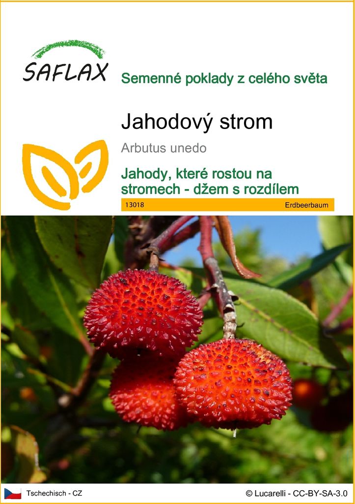 SAFLAX - jahodový strom - Arbutus unedo - 50 Semena Obrázek produktu 